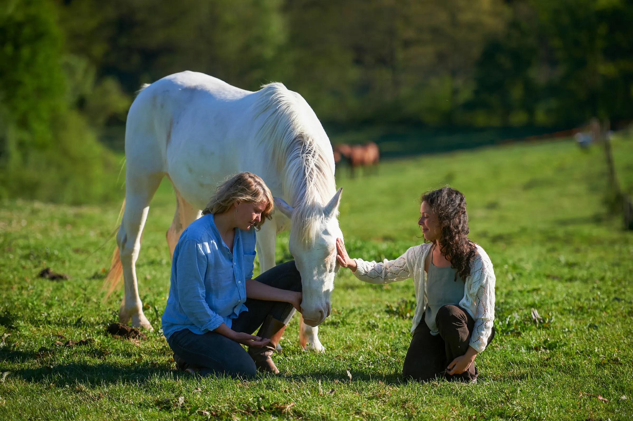 Two women kneeling in a sunlit meadow, one reaching out to touch the muzzle of a grazing white horse
