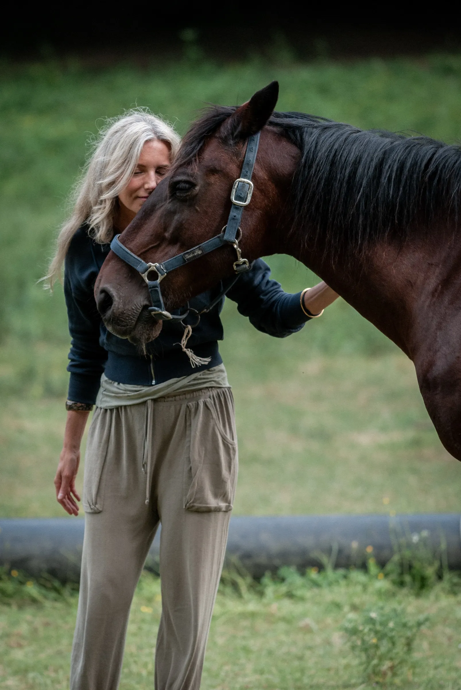 Una donna appoggia dolcemente la fronte contro un cavallo
